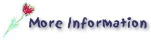 More Information